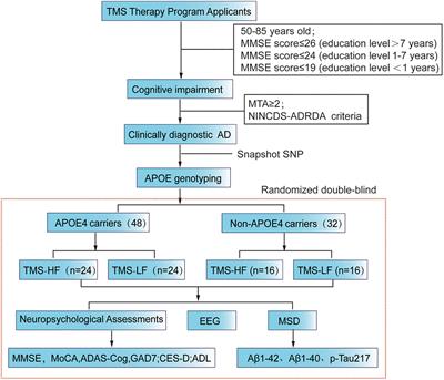 Repetitive Transcranial Magnetic Stimulation for Alzheimer’s Disease Based on Apolipoprotein E Genotyping: Protocol for a Randomized Controlled Study